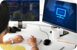 Custom Software Development