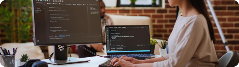 Software Development Team